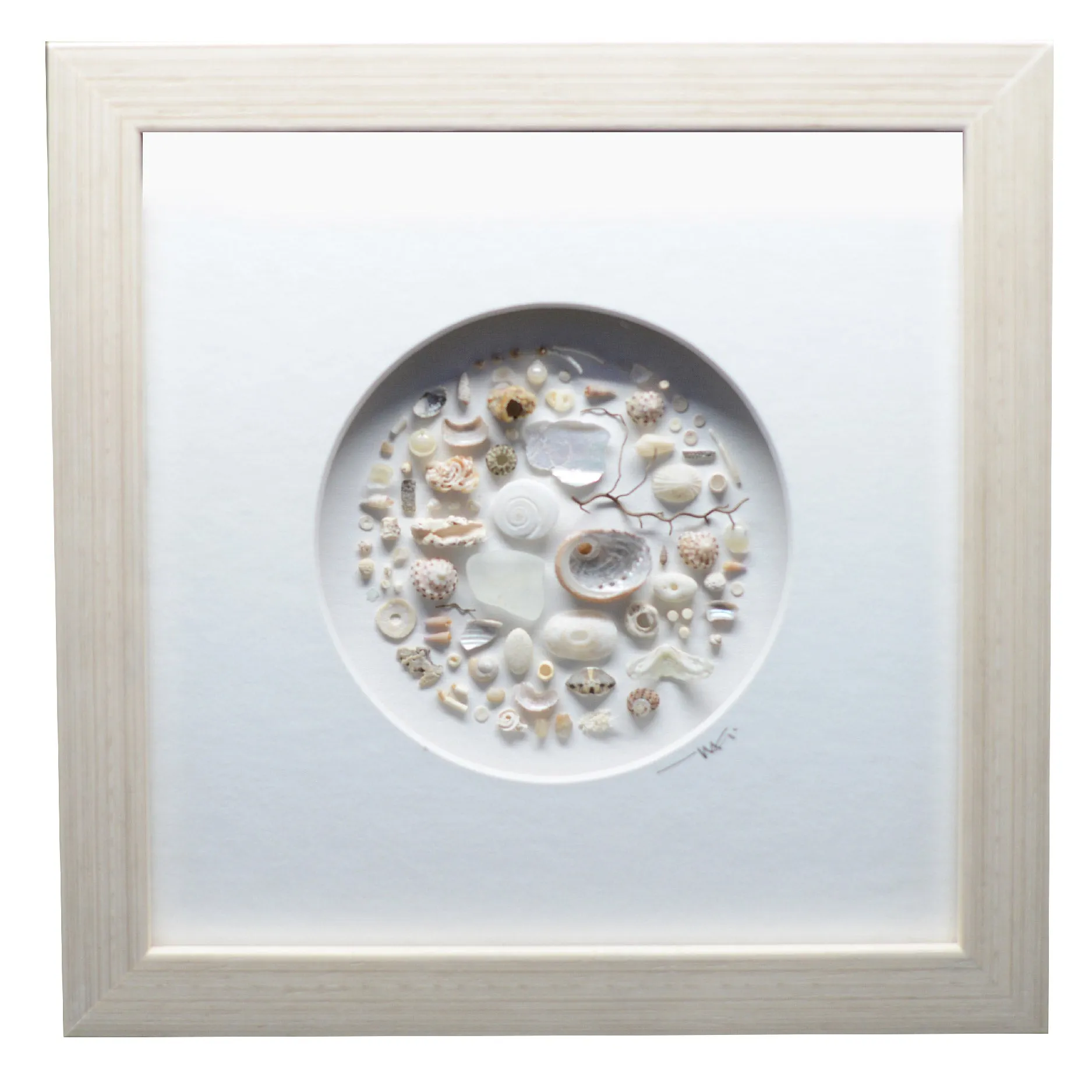 Muted Toned Shells Shadowbox Art