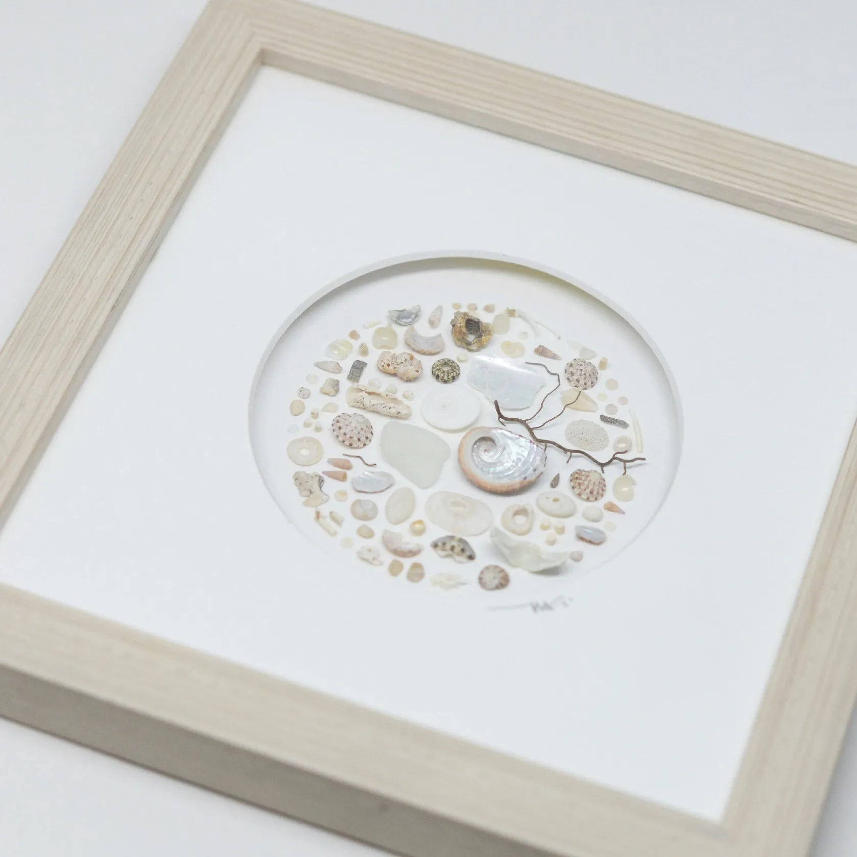 Muted Toned Shells Shadowbox Art