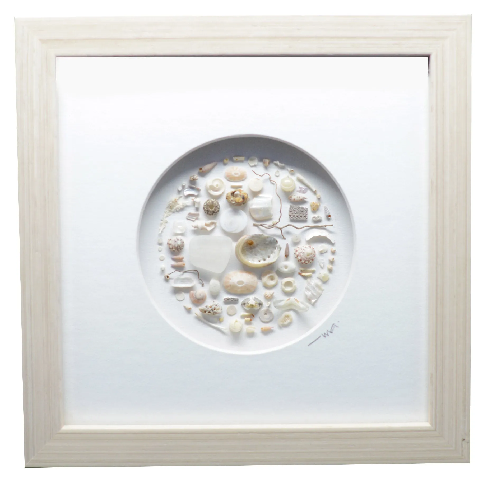 Muted Toned Shells Shadowbox Art