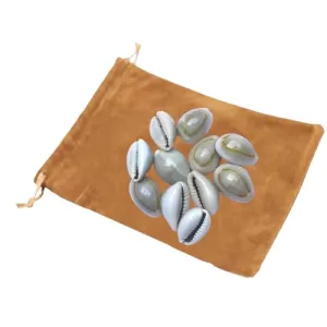 Suryamoon, Gray Cowries, Seashells Diwali Pooja Article Kaudi Shells Natural Gray Piece of-21(Pack of-2)